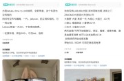 梦见血腥闲鱼：LABUBU搜索量环比上涨1000%，供不应求下现租赁新形式