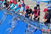 梦见血腥2025年全国水生生物同步增殖放流活动在福建举行