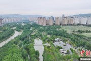 梦见血腥西宁市举办六五环境日主题宣传活动