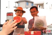 梦见血腥（乡村行·看振兴）江西安福“小西瓜”撬动乡村共富“大支点”