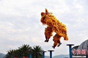 梦见血腥（文化中国行）壮乡狮舞闯南洋：脚踏“云桩” 饮誉海内外