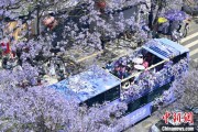 梦见血腥2024年云南重点高原湖泊水质稳定 抚仙湖达Ⅰ类